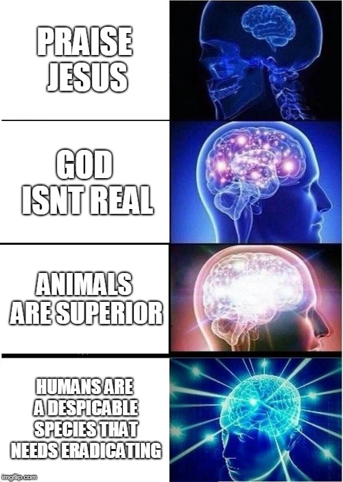 Expanding Brain |  PRAISE JESUS; GOD ISNT REAL; ANIMALS ARE SUPERIOR; HUMANS ARE A DESPICABLE SPECIES THAT NEEDS ERADICATING | image tagged in memes,expanding brain | made w/ Imgflip meme maker