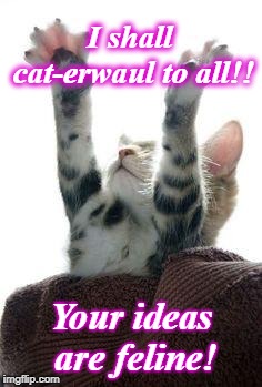 amen cat | I shall cat-erwaul to all!! Your ideas are feline! | image tagged in amen cat | made w/ Imgflip meme maker