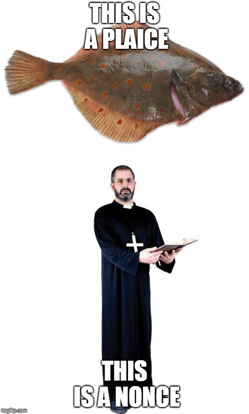 priest | THIS IS A PLAICE; THIS IS A NONCE | image tagged in fish | made w/ Imgflip meme maker