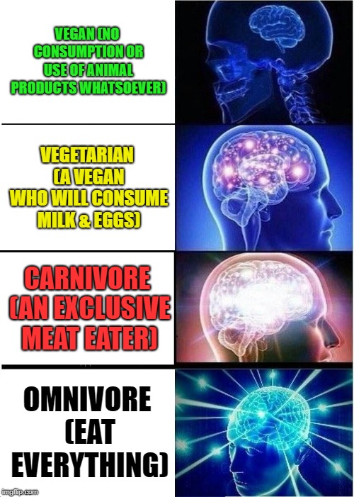 Expanding Brain | VEGAN (NO CONSUMPTION OR USE OF ANIMAL PRODUCTS WHATSOEVER); VEGETARIAN (A VEGAN WHO WILL CONSUME MILK & EGGS); CARNIVORE (AN EXCLUSIVE MEAT EATER); OMNIVORE (EAT EVERYTHING) | image tagged in memes,expanding brain | made w/ Imgflip meme maker