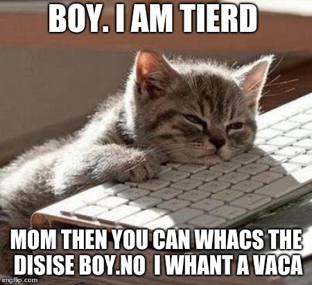 tired cat | BOY. I AM TIERD; MOM THEN YOU CAN WHACS THE DISISE BOY.NO  I WHANT A VACA | image tagged in tired cat | made w/ Imgflip meme maker