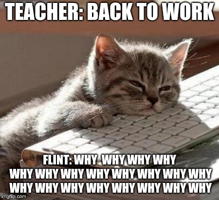 tired cat | TEACHER: BACK TO WORK; FLINT: WHY  WHY WHY WHY WHY WHY WHY WHY WHY WHY WHY WHY WHY WHY WHY WHY WHY WHY WHY WHY | image tagged in tired cat | made w/ Imgflip meme maker