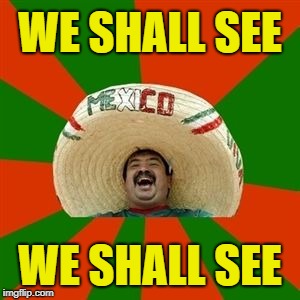 succesful mexican | WE SHALL SEE WE SHALL SEE | image tagged in succesful mexican | made w/ Imgflip meme maker