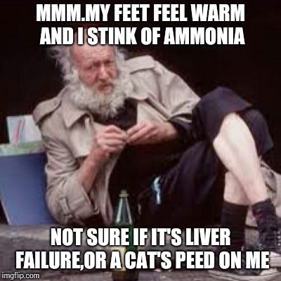 MMM.MY FEET FEEL WARM AND I STINK OF AMMONIA NOT SURE IF IT'S LIVER FAILURE,OR A CAT'S PEED ON ME | image tagged in drunken bum | made w/ Imgflip meme maker