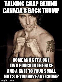 talking crap trump | TALKING CRAP BEHIND CANADA'S BACK TRUMP; COME AND GET A ONE TWO PUNCH IN THE FACE AND A KNEE TO YOUR SMALL NUT'S IF YOU HAVE ANY CHUMP | image tagged in in liberal canada,america vs canada,canada,funny meme,donald trump | made w/ Imgflip meme maker