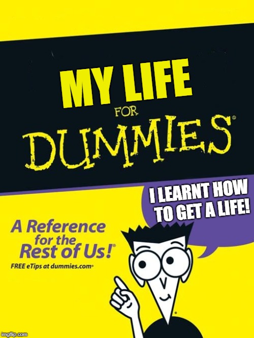 Well Good For You | MY LIFE; I LEARNT HOW TO GET A LIFE! | image tagged in for dummies book,get a life,life,book,my life | made w/ Imgflip meme maker