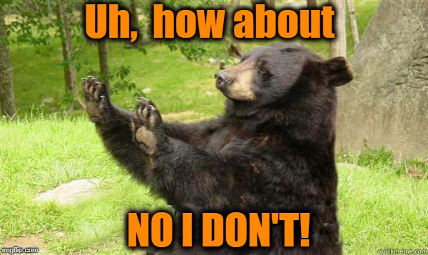 How about no bear | Uh,  how about NO I DON'T! | image tagged in how about no bear | made w/ Imgflip meme maker