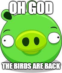 Angry Birds Pig | OH GOD; THE BIRDS ARE BACK | image tagged in memes,angry birds pig | made w/ Imgflip meme maker