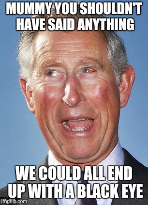 prince charles | MUMMY YOU SHOULDN'T HAVE SAID ANYTHING WE COULD ALL END UP WITH A BLACK EYE | image tagged in prince charles | made w/ Imgflip meme maker