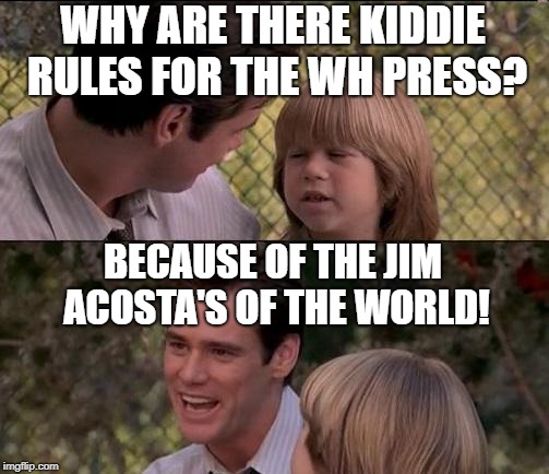 That's Just Something X Say Meme | WHY ARE THERE KIDDIE RULES FOR THE WH PRESS? BECAUSE OF THE JIM ACOSTA'S OF THE WORLD! | image tagged in memes,thats just something x say | made w/ Imgflip meme maker