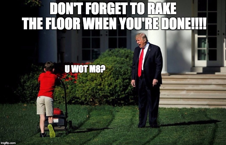 Chief in Chief | DON'T FORGET TO RAKE THE FLOOR WHEN YOU'RE DONE!!!! U WOT M8? | image tagged in shouty trump,trump yells at lawnmower kid,memes,trump,dotard | made w/ Imgflip meme maker