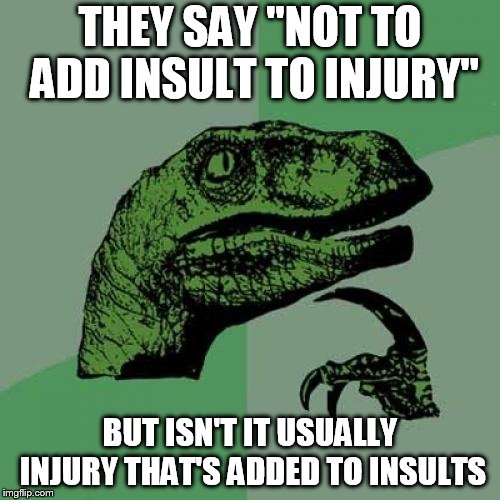 Philosoraptor Meme | THEY SAY "NOT TO ADD INSULT TO INJURY"; BUT ISN'T IT USUALLY INJURY THAT'S ADDED TO INSULTS | image tagged in memes,philosoraptor | made w/ Imgflip meme maker