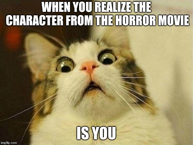 Horror movie cats | WHEN YOU REALIZE THE CHARACTER FROM THE HORROR MOVIE; IS YOU | image tagged in memes,scared cat | made w/ Imgflip meme maker