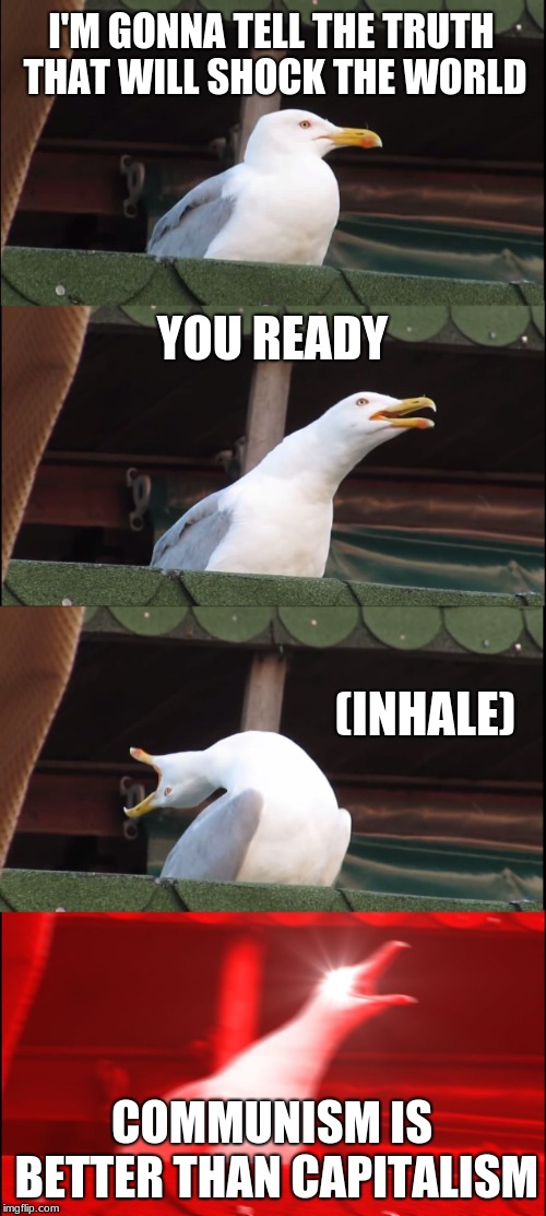 Inhaling Seagull | I'M GONNA TELL THE TRUTH THAT WILL SHOCK THE WORLD; YOU READY; (INHALE); COMMUNISM IS BETTER THAN CAPITALISM | image tagged in memes,inhaling seagull | made w/ Imgflip meme maker