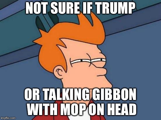 Futurama Fry Meme | NOT SURE IF TRUMP; OR TALKING GIBBON WITH MOP ON HEAD | image tagged in memes,futurama fry | made w/ Imgflip meme maker