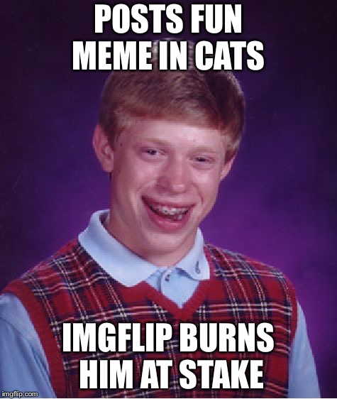 Bad Luck Brian | POSTS FUN MEME IN CATS; IMGFLIP BURNS HIM AT STAKE | image tagged in memes,bad luck brian | made w/ Imgflip meme maker