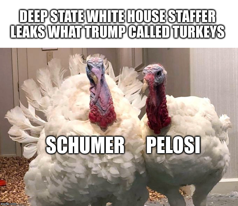 The Latest White House Leak | DEEP STATE WHITE HOUSE STAFFER LEAKS WHAT TRUMP CALLED TURKEYS; SCHUMER      PELOSI | image tagged in trump,turkeys,schumer,pelosi,the rest of the turkeys | made w/ Imgflip meme maker