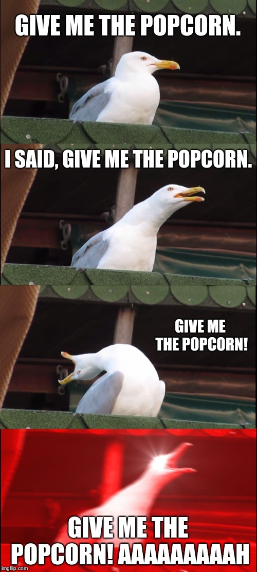 Seagulls are mad. | GIVE ME THE POPCORN. I SAID, GIVE ME THE POPCORN. GIVE ME THE POPCORN! GIVE ME THE POPCORN! AAAAAAAAAH | image tagged in memes,inhaling seagull | made w/ Imgflip meme maker