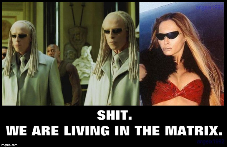 image tagged in melania trump,melania,the matrix,twins,welcome to the matrix,matrix | made w/ Imgflip meme maker