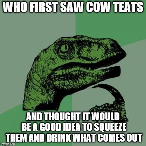 Paleolithic Wierdos?! | WHO FIRST SAW COW TEATS; AND THOUGHT IT WOULD BE A GOOD IDEA TO SQUEEZE THEM AND DRINK WHAT COMES OUT | image tagged in memes,philosoraptor | made w/ Imgflip meme maker