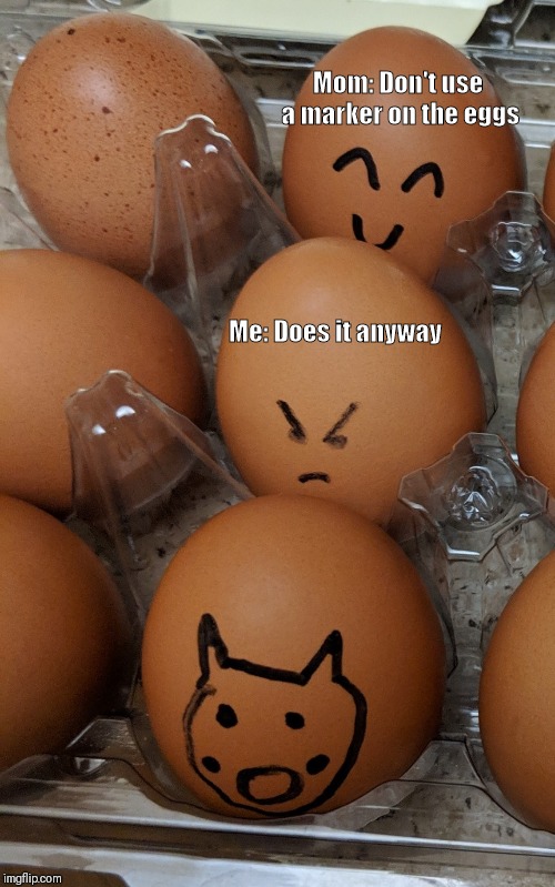 When you have a marker and eggs | Mom: Don't use a marker on the eggs; Me: Does it anyway | image tagged in surprised pikachu | made w/ Imgflip meme maker