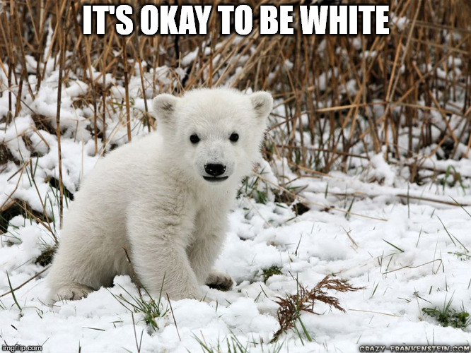 IT'S OKAY TO BE WHITE | made w/ Imgflip meme maker