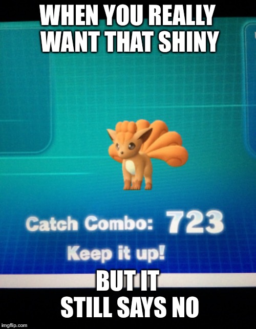 WHEN YOU REALLY WANT THAT SHINY; BUT IT STILL SAYS NO | made w/ Imgflip meme maker