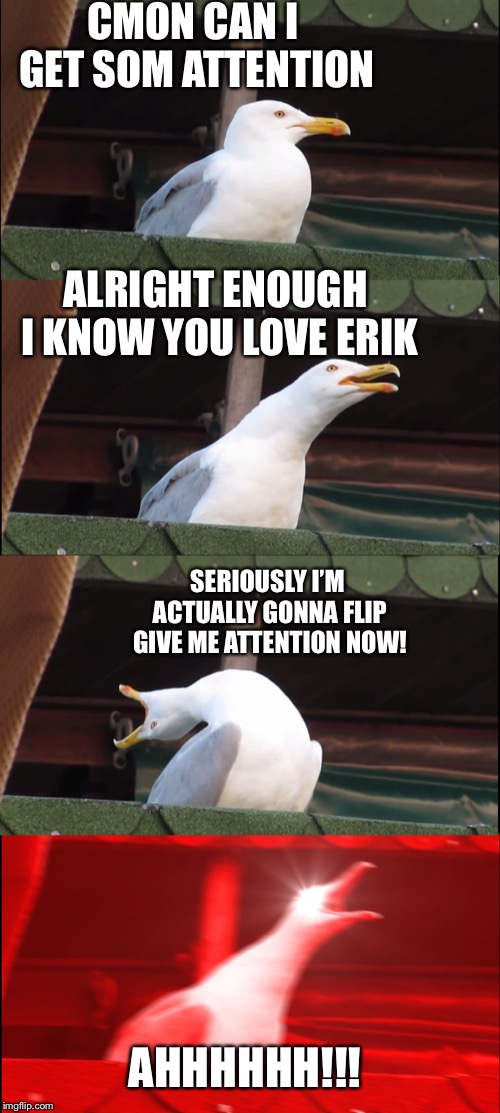 Inhaling Seagull | CMON CAN I GET SOM ATTENTION; ALRIGHT ENOUGH I KNOW YOU LOVE ERIK; SERIOUSLY I’M ACTUALLY GONNA FLIP GIVE ME ATTENTION NOW! AHHHHHH!!! | image tagged in memes,inhaling seagull | made w/ Imgflip meme maker