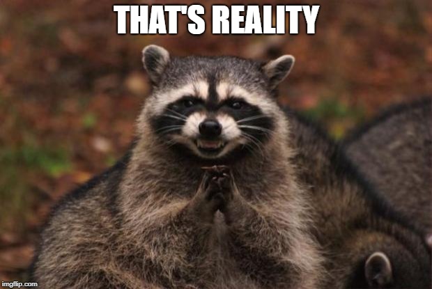 evil genius racoon | THAT'S REALITY | image tagged in evil genius racoon | made w/ Imgflip meme maker