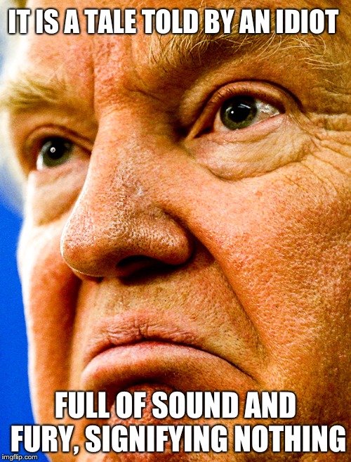 racist donald trump | IT IS A TALE TOLD BY AN IDIOT; FULL OF SOUND AND FURY, SIGNIFYING NOTHING | image tagged in racist donald trump | made w/ Imgflip meme maker