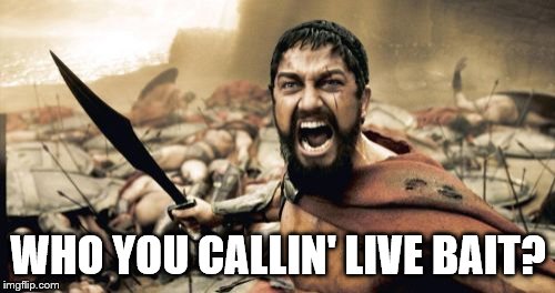 Sparta Leonidas Meme | WHO YOU CALLIN' LIVE BAIT? | image tagged in memes,sparta leonidas | made w/ Imgflip meme maker