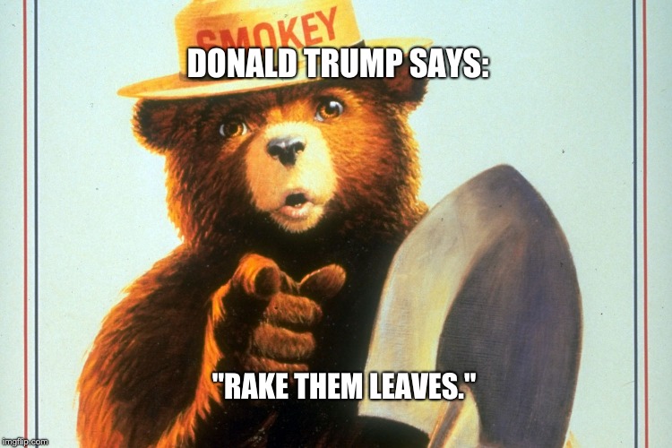 Smokey Bear | DONALD TRUMP SAYS:; "RAKE THEM LEAVES." | image tagged in smokey bear | made w/ Imgflip meme maker