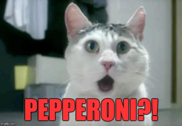 OMG Cat Meme | PEPPERONI?! | image tagged in memes,omg cat | made w/ Imgflip meme maker