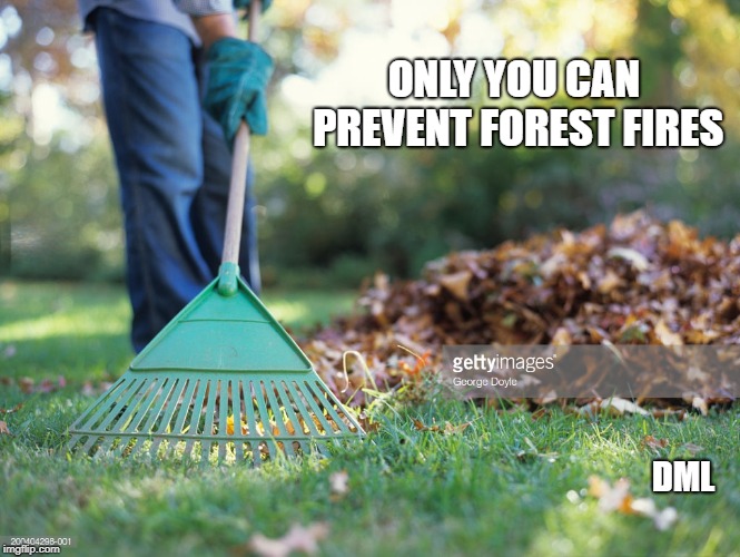 FOREST FIRES |  ONLY YOU CAN PREVENT FOREST FIRES; DML | image tagged in trump,rake,raking,forestfire | made w/ Imgflip meme maker