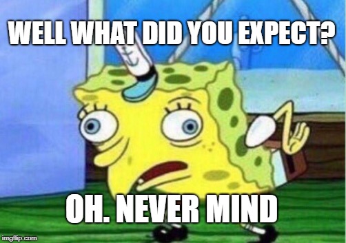 Mocking Spongebob Meme | WELL WHAT DID YOU EXPECT? OH. NEVER MIND | image tagged in memes,mocking spongebob | made w/ Imgflip meme maker