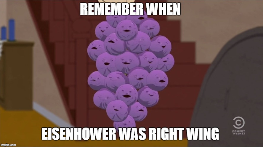 Member Berries | REMEMBER WHEN; EISENHOWER WAS RIGHT WING | image tagged in memes,member berries,alt right | made w/ Imgflip meme maker