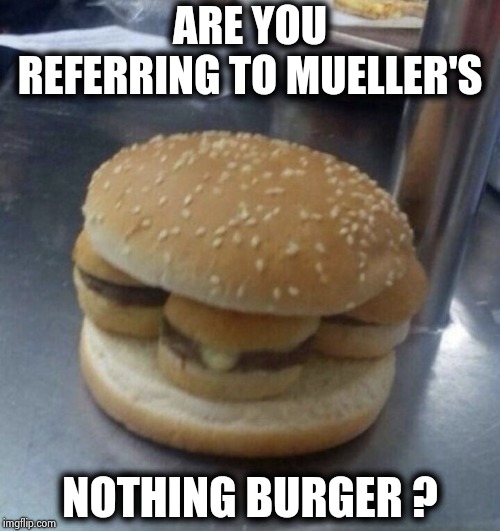 Nothing burger | ARE YOU REFERRING TO MUELLER'S NOTHING BURGER ? | image tagged in nothing burger | made w/ Imgflip meme maker