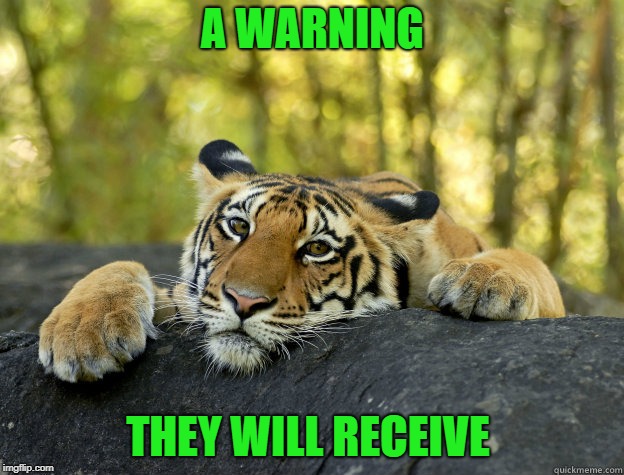 terrible tiger | A WARNING THEY WILL RECEIVE | image tagged in terrible tiger | made w/ Imgflip meme maker