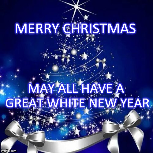 merry christmas | MERRY CHRISTMAS; MAY ALL HAVE A GREAT WHITE NEW YEAR | image tagged in merry christmas,winter,new year | made w/ Imgflip meme maker