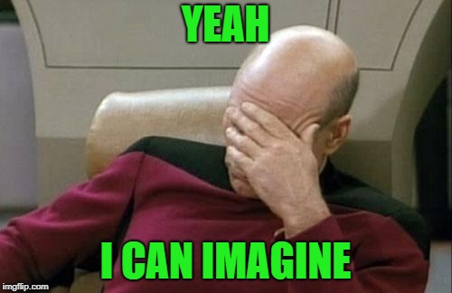 Captain Picard Facepalm Meme | YEAH I CAN IMAGINE | image tagged in memes,captain picard facepalm | made w/ Imgflip meme maker