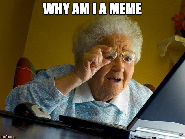 Grandma Finds The Internet | WHY AM I A MEME | image tagged in memes,grandma finds the internet | made w/ Imgflip meme maker