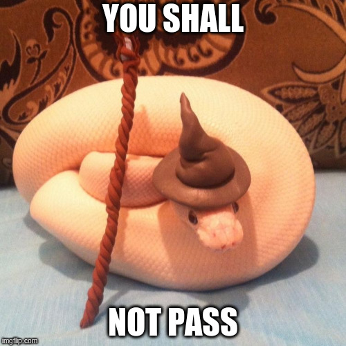 YOU SHALL; NOT PASS | image tagged in snakes,hats | made w/ Imgflip meme maker
