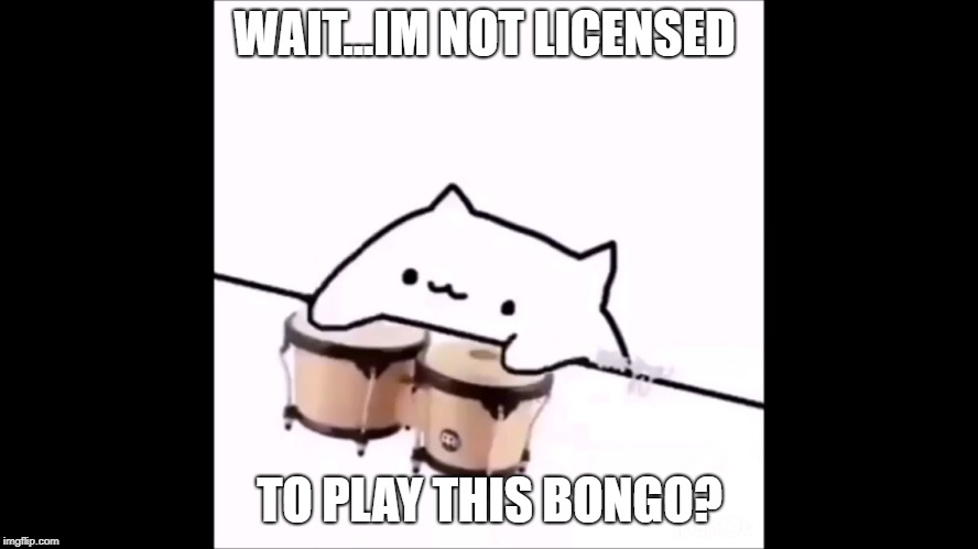 bongo cat | WAIT...IM NOT LICENSED; TO PLAY THIS BONGO? | image tagged in bongo cat | made w/ Imgflip meme maker