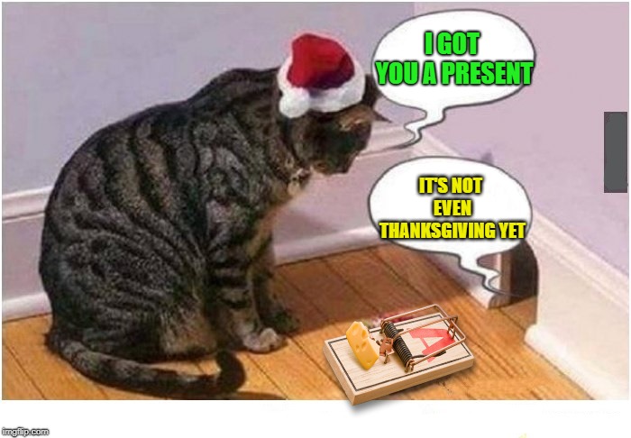 Mouser | I GOT YOU A PRESENT; IT'S NOT EVEN THANKSGIVING YET | image tagged in funny memes,cat,mouse trap,holidays,cat and mouse | made w/ Imgflip meme maker