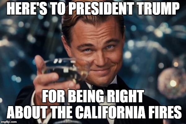 Leonardo Dicaprio Cheers Meme | HERE'S TO PRESIDENT TRUMP; FOR BEING RIGHT ABOUT THE CALIFORNIA FIRES | image tagged in memes,leonardo dicaprio cheers | made w/ Imgflip meme maker