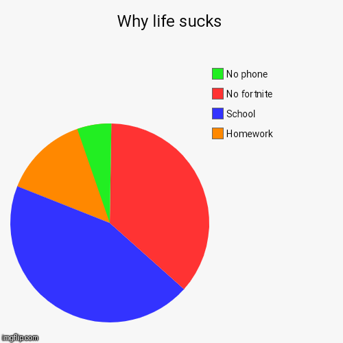 Why life sucks | Homework, School, No fortnite, No phone | image tagged in funny,pie charts | made w/ Imgflip chart maker