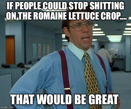 That Would Be Great | IF PEOPLE COULD STOP SHITTING ON THE ROMAINE LETTUCE CROP.... THAT WOULD BE GREAT | image tagged in memes,that would be great | made w/ Imgflip meme maker