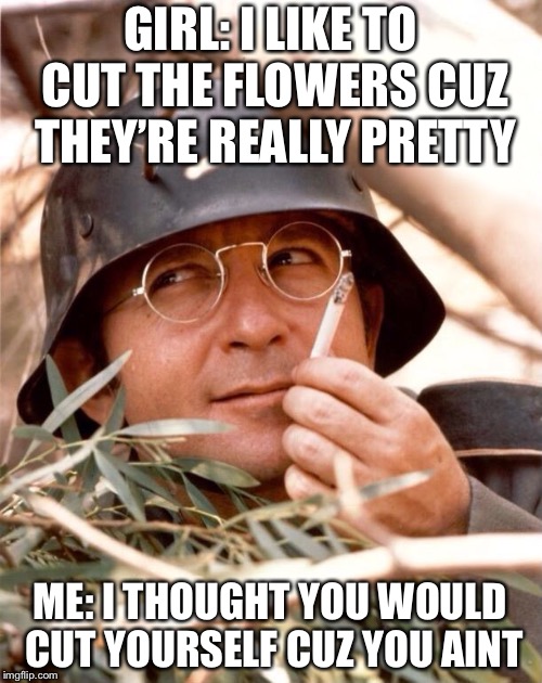 Me talking to my sister | GIRL: I LIKE TO CUT THE FLOWERS CUZ THEY’RE REALLY PRETTY; ME: I THOUGHT YOU WOULD CUT YOURSELF CUZ YOU AIN’T | image tagged in wolfgang the german soldier,memes,roasted | made w/ Imgflip meme maker