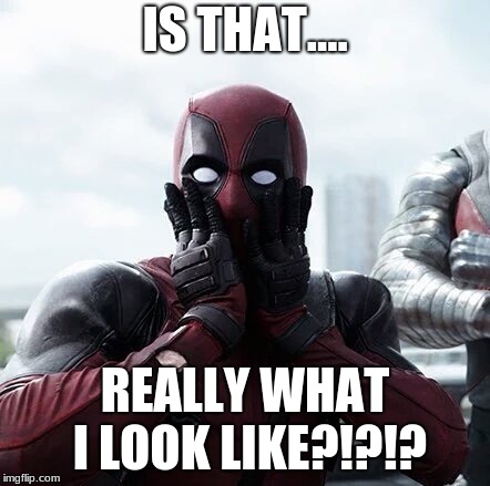 Deadpool Surprised | IS THAT.... REALLY WHAT I LOOK LIKE?!?!? | image tagged in memes,deadpool surprised | made w/ Imgflip meme maker