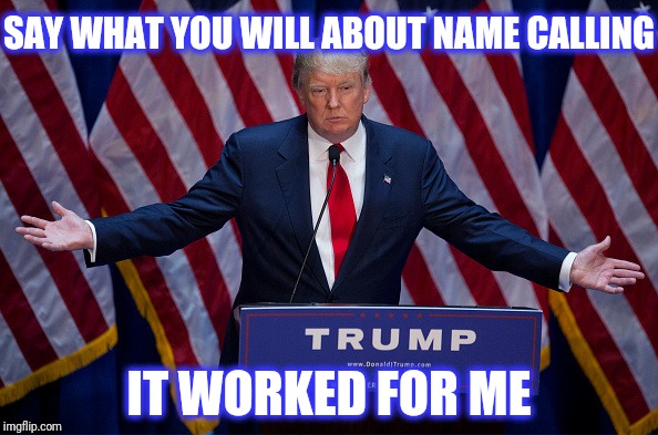 Donald Trump | SAY WHAT YOU WILL ABOUT NAME CALLING IT WORKED FOR ME | image tagged in donald trump,scumbag | made w/ Imgflip meme maker